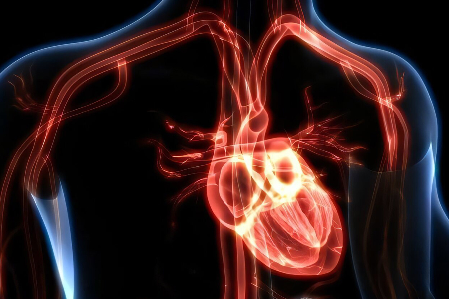 چطور با آزمایش خون، ریسک بیماری قلبی را تخمین بزنیم؟