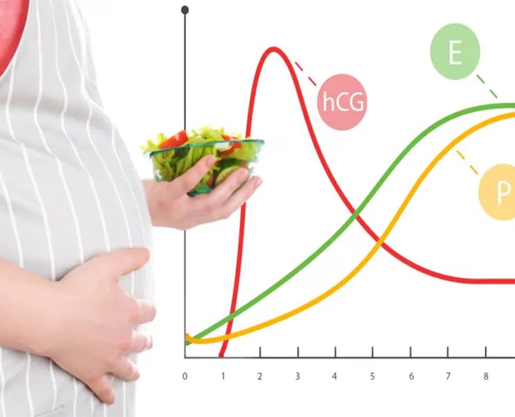 bahar-lab-b-1404-01-05-1 bahar-lab-b-1404-01-05-1
