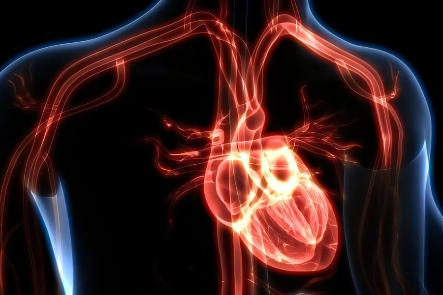 چطور با آزمایش خون، ریسک بیماری قلبی را تخمین بزنیم؟