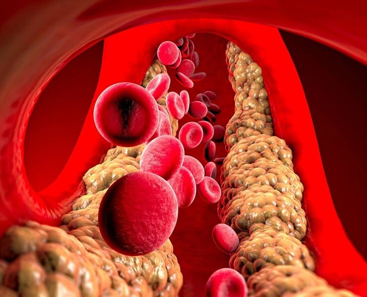 bahar-lab-b-1404-07-05-1